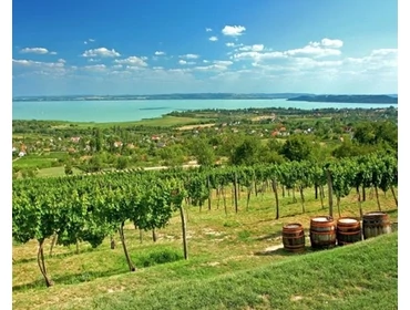Balatonfüred-Csopak