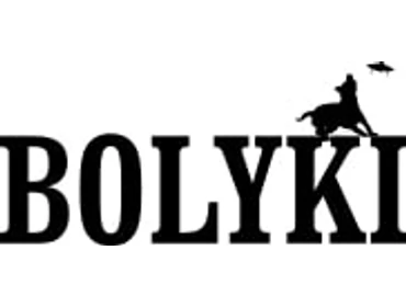 Bolyki