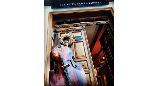 HELLOLELO – A LELOVITS TAMÁS PINCÉSZET