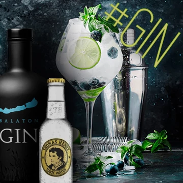 GIN + TONIC